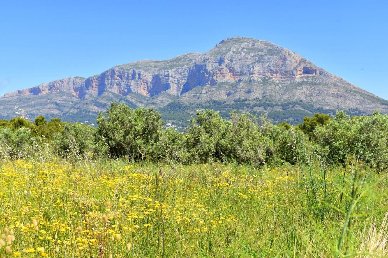 Casa Altamar I Javea - 5009 エクステリア 写真